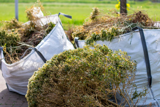 Best Moving and Downsizing Cleanouts  in Fox Lake, WI